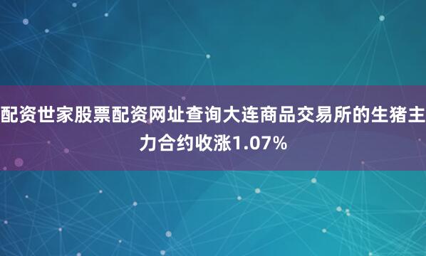 配资世家股票配资网址查询大连商品交易所的生猪主力合约收涨1.07%